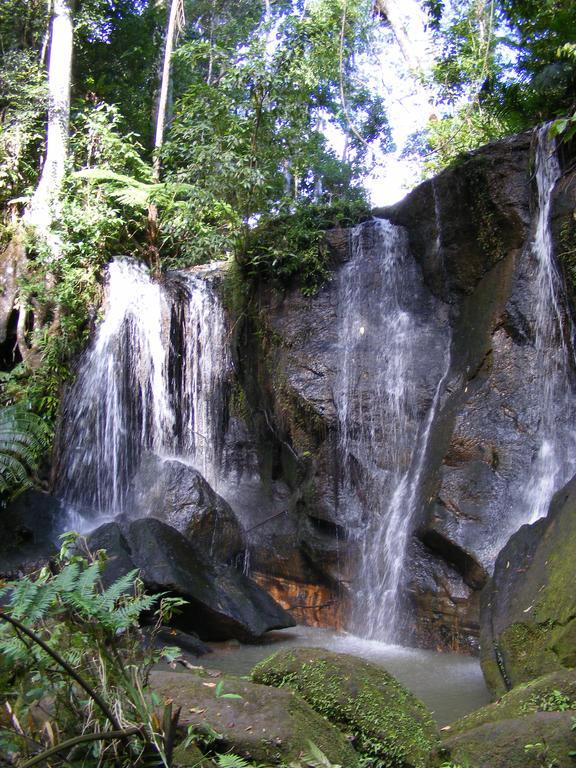 Lake Eacham Tourist Park & Cabins Exterior foto