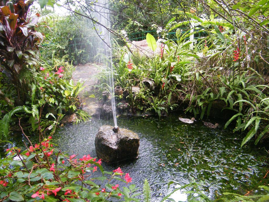 Lake Eacham Tourist Park & Cabins Exterior foto