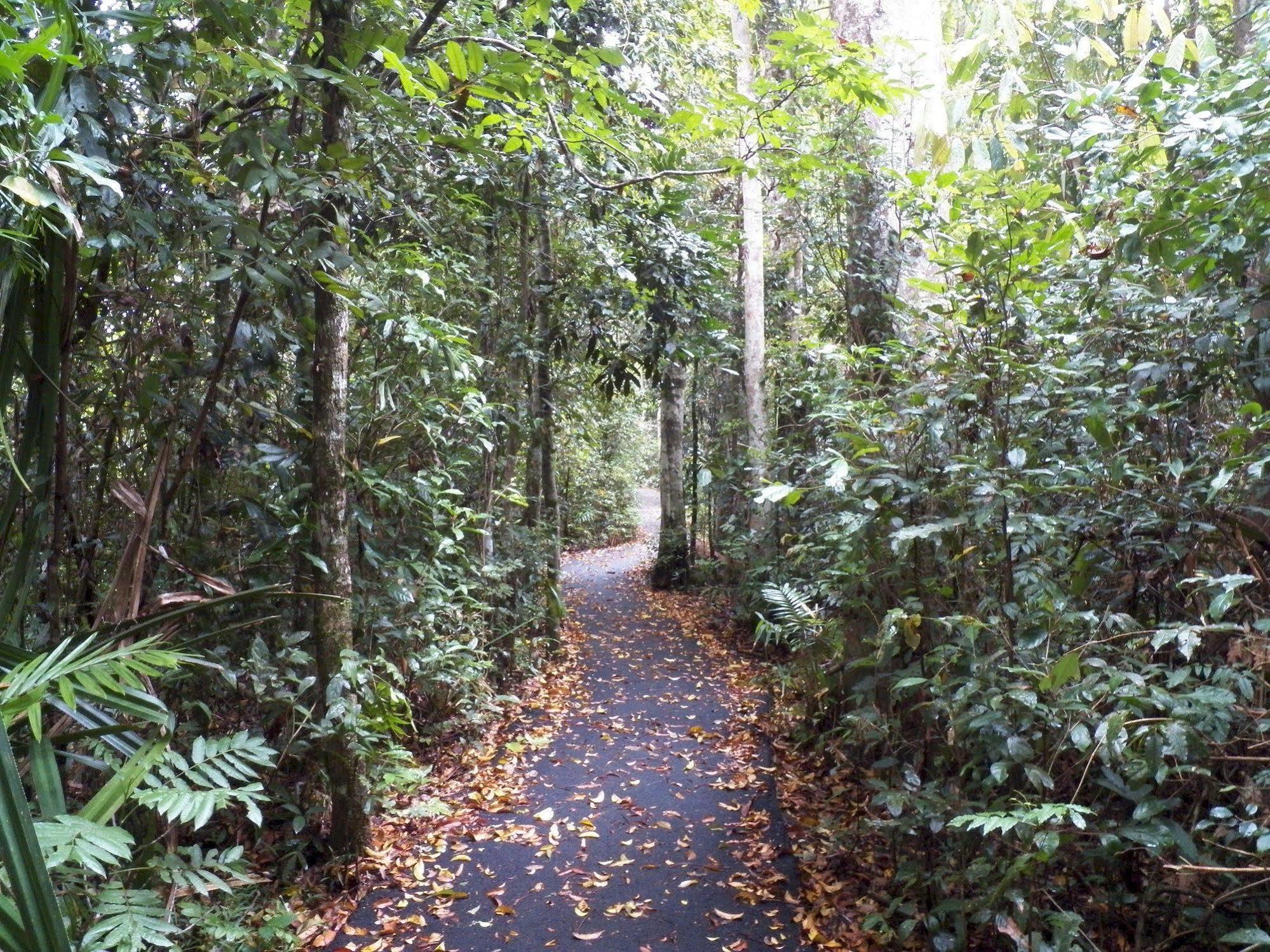 Lake Eacham Tourist Park & Cabins Exterior foto