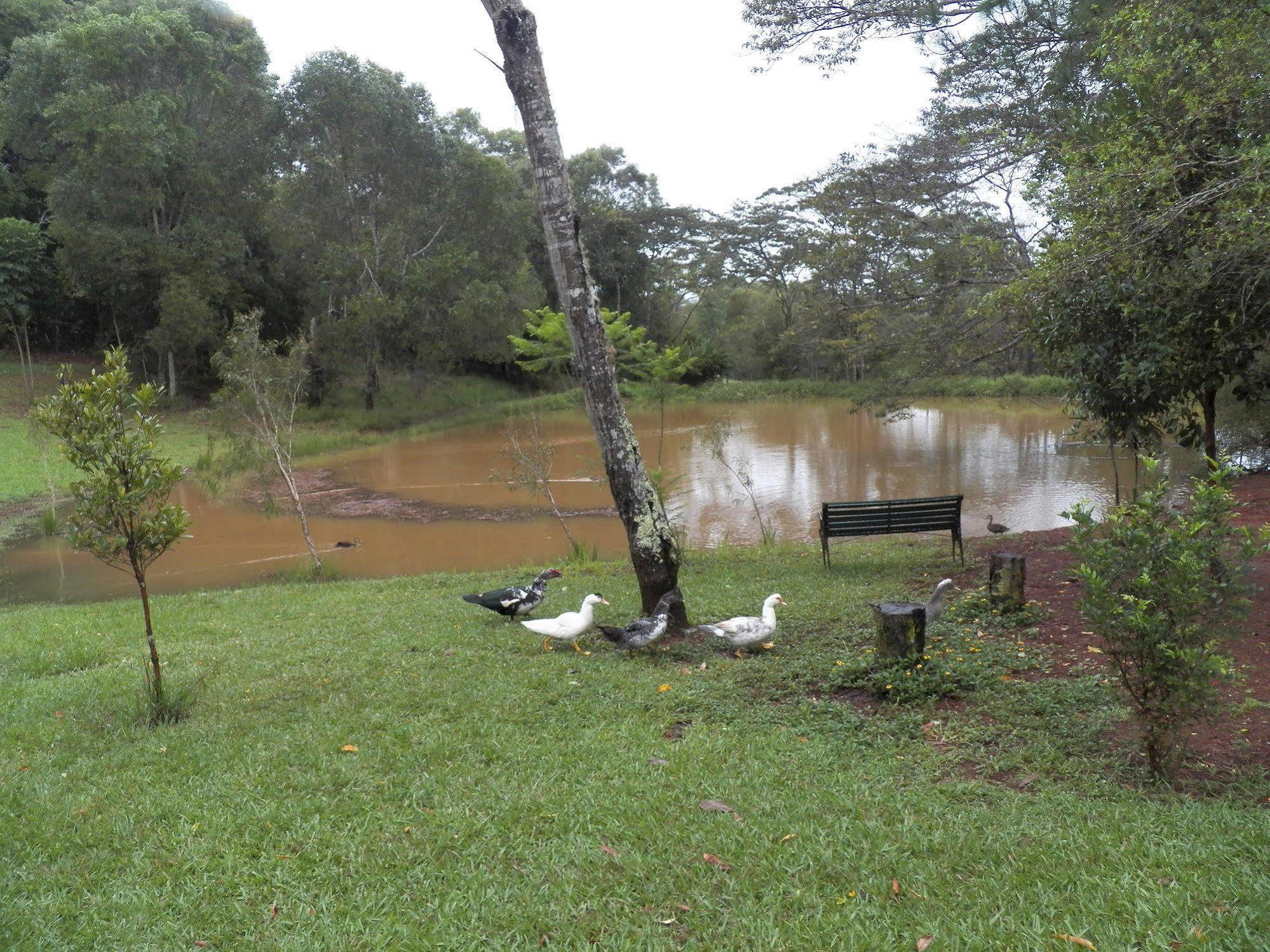 Lake Eacham Tourist Park & Cabins Exterior foto
